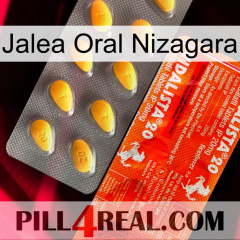 Nizagara Oral Jelly new01